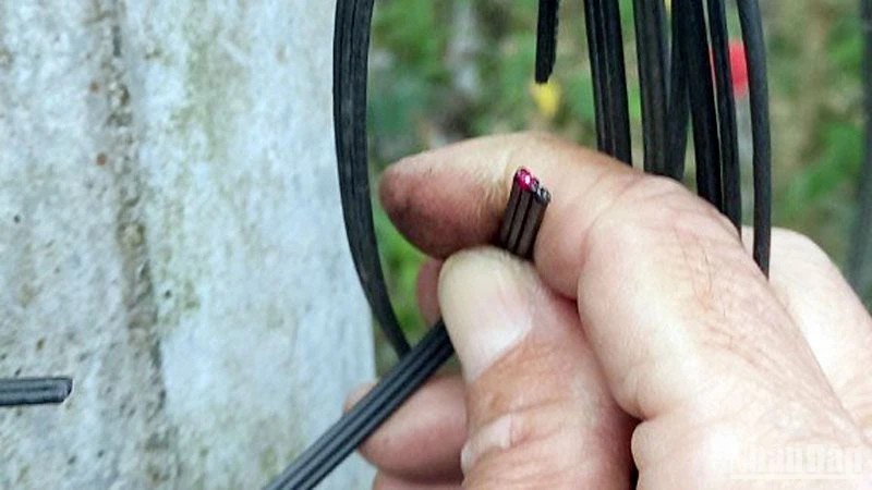 Lâm Đồng: Nhiều tuyến cáp quang viễn thông có dấu hiệu bị phá hoại