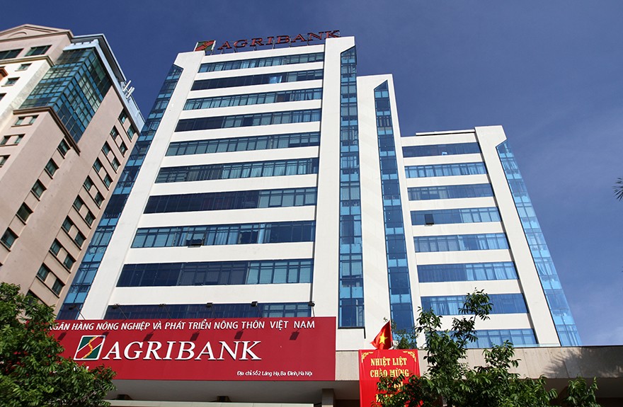 Một công ty có vốn điều lệ chỉ 12 tỷ đang nợ Agribank gần 200 tỷ đồng