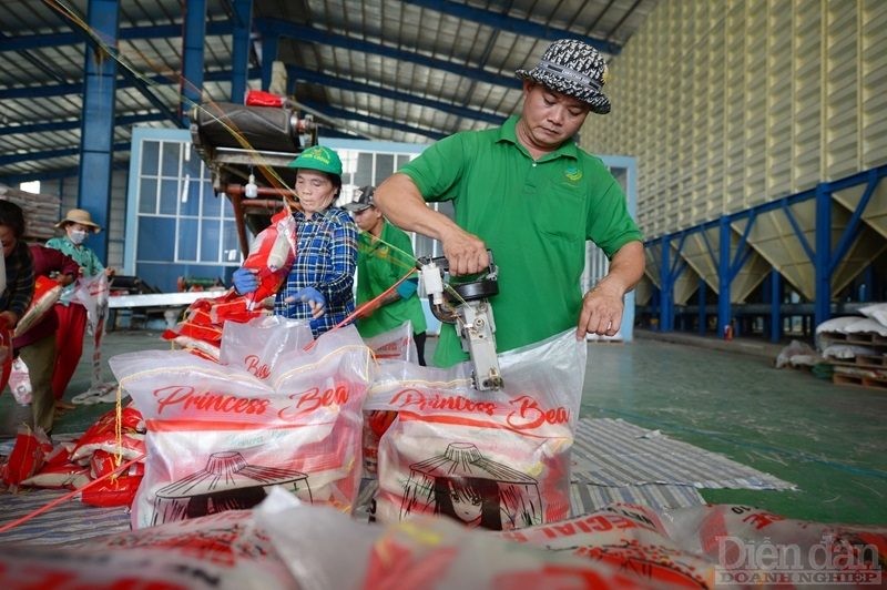 Xây dựng, bảo hộ thương hiệu nông sản Việt – Cần bắt đầu từ đâu?