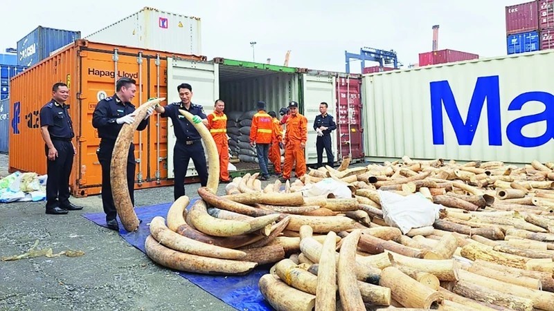Mở rộng quy mô Chiến dịch Con rồng Mekong, tăng cường phát hiện sớm các đường dây buôn lậu xuyên quốc gia