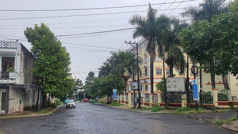 Gia Lai cung cấp số liệu 24 dự án cây xanh cho Bộ Công an