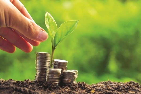 Khơi thông tín dụng xanh: Cần chính sách mạnh mẽ từ Chính phủ