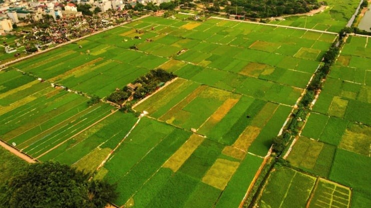 Luật đất đai mới nhất 2024: Không còn cấp đất cho hộ gia đình