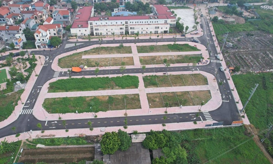 Có hiện tượng "cò” thông đồng bỏ cọc đấu giá đất