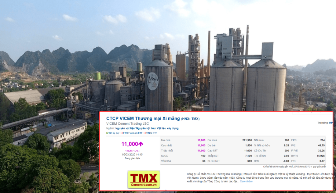 Sếp công ty xi măng bị tạm đình chỉ để điều tra, cổ phiếu vẫn tăng hết biên độ