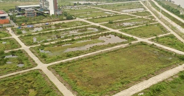 Ninh Bình “trảm” 11 dự án chậm tiến độ, thu hồi hơn 216 ha đất