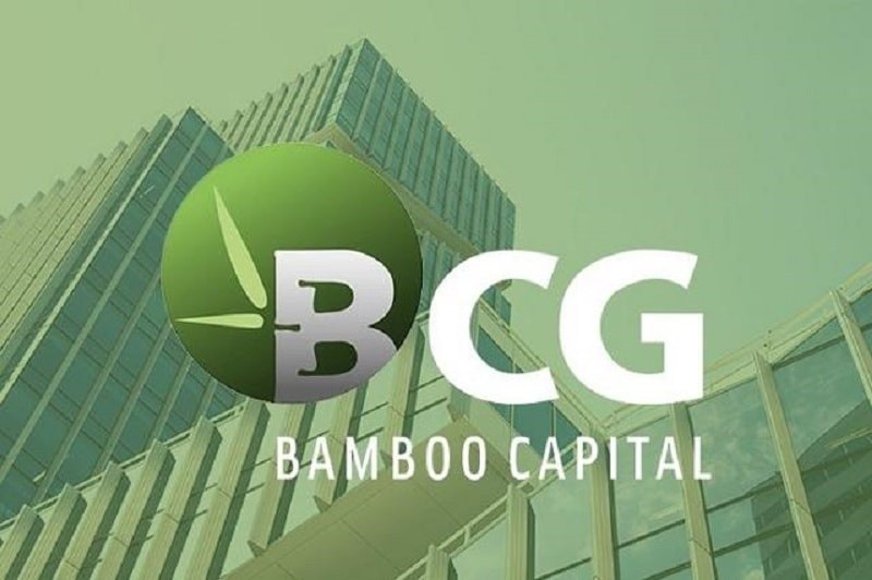 Bamboo Capital lý giải việc chậm nộp báo cáo kiểm toán, cổ phiếu mất 85% giá trị dù lợi nhuận tăng vọt