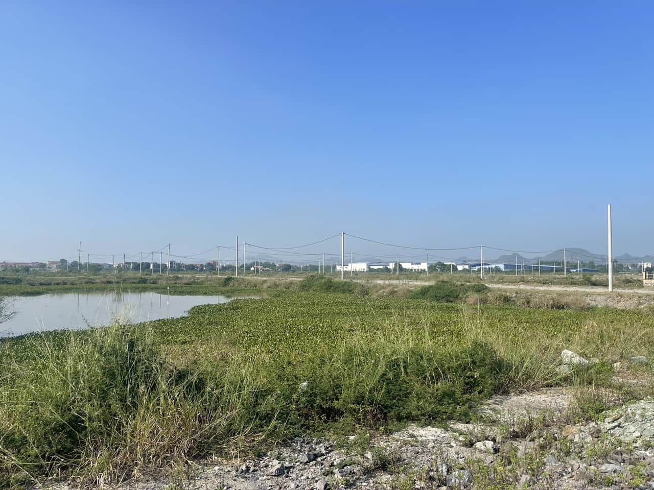 Đất đấu giá Ninh Bình tháng 4: 261 lô ra mắt, giá khởi điểm từ 5,7 triệu/m²