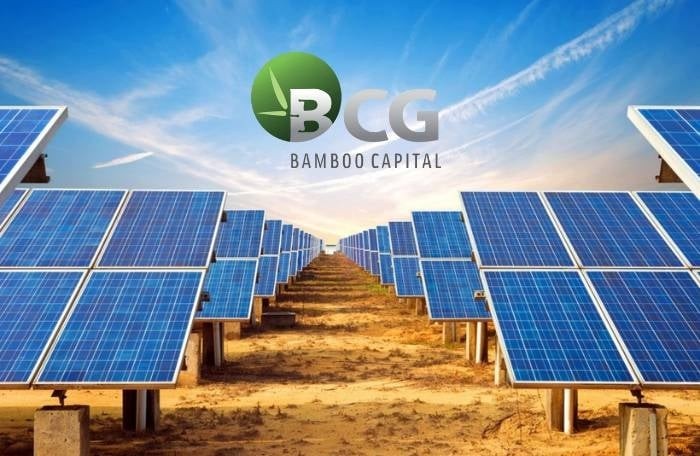 Bamboo Capital lý giải chậm báo cáo tài chính