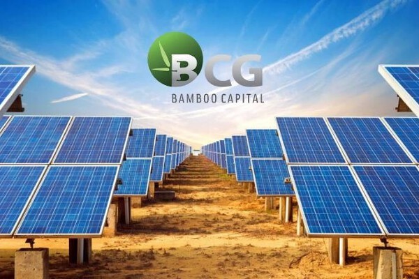 Cổ phiếu Bamboo Capital chính thức bị hạn chế giao dịch từ 27/5