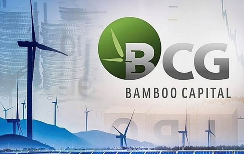 Phó Chủ tịch Điều hành Bamboo Capital từ nhiệm