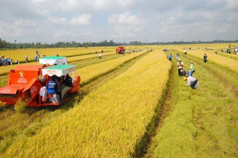 Giải pháp phù hợp và cần thiết