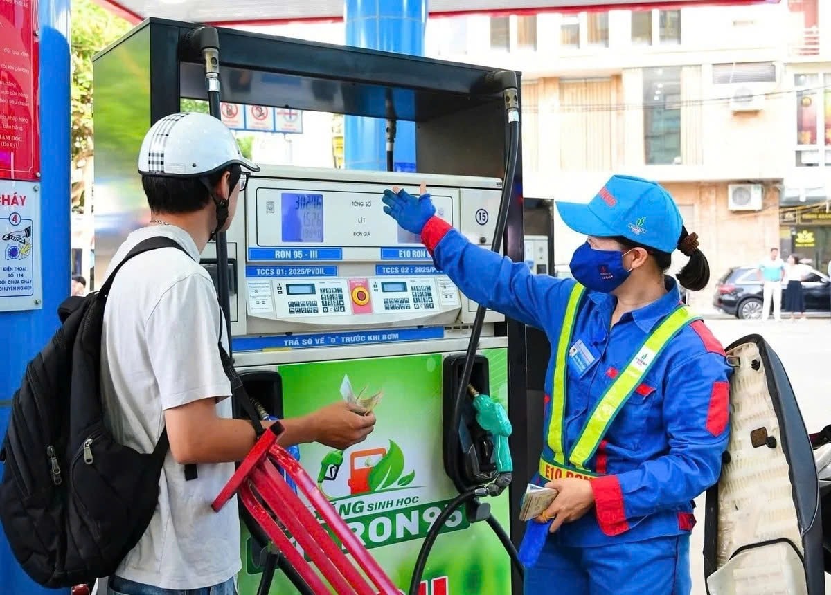 Khi chính sách trở thành “lá chắn” kinh tế