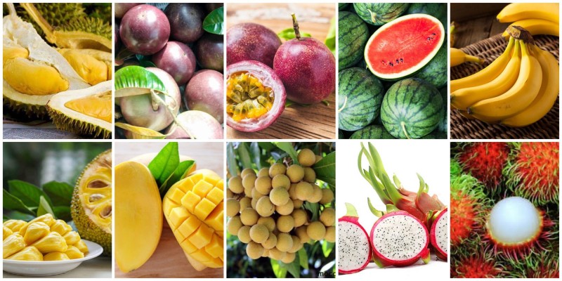 Nghiên cứu nội dung báo chí phản ánh về mở rộng thị trường xuất khẩu trái cây