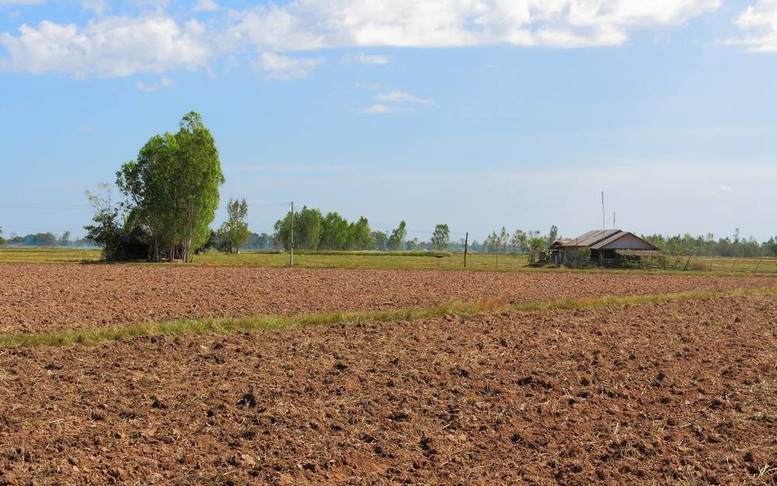 Căn cứ xác định diện tích, thời điểm sử dụng đất