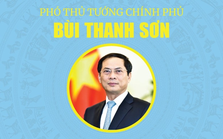INFOGRAPHICS: Tóm tắt tiểu sử Tân Phó Thủ tướng Chính phủ Bùi Thanh Sơn