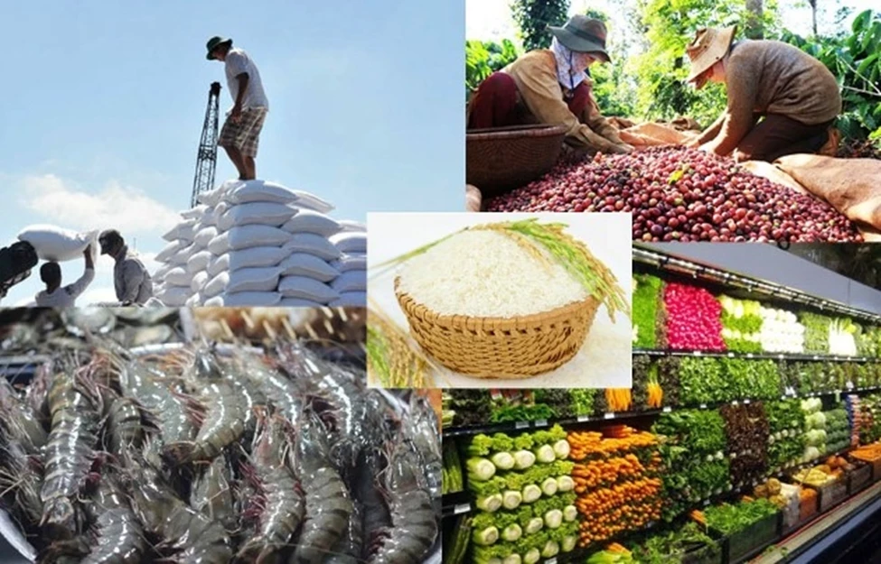 Số lượng cần đi đôi với chất lượng