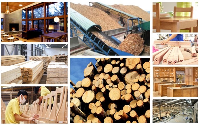 Bình Định thu hơn 1 tỷ USD nhờ xuất khẩu một mặt hàng sang Mỹ, EU, Australia, Nhật Bản