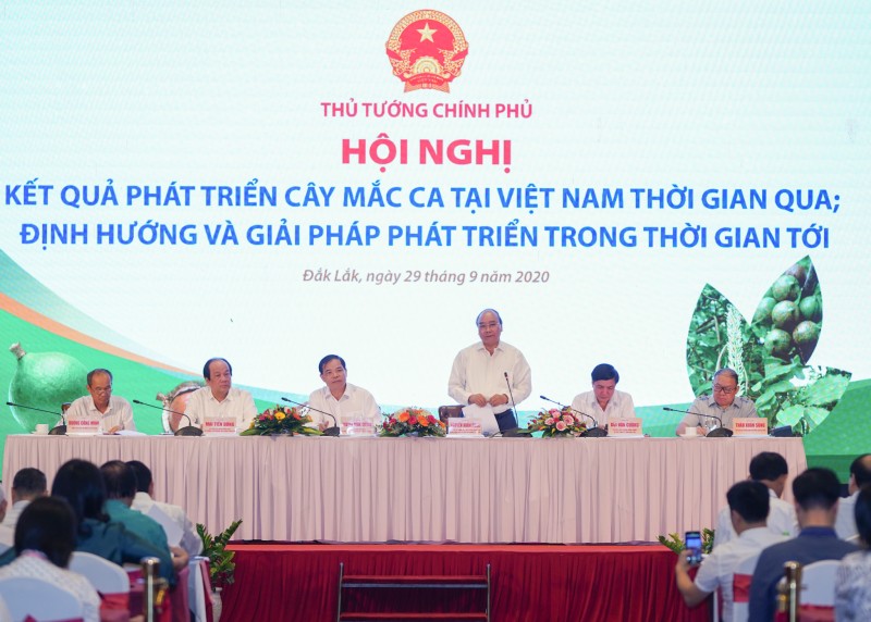 Thủ tướng Nguyễn Xuân Phúc đặt ra loạt vấn đề về trồng và tiêu thụ mắc ca