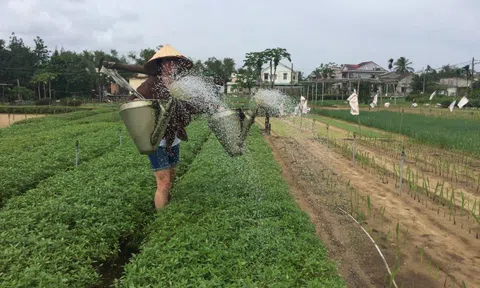 Quy định mới sẽ mở ra cơ hội cho đất sử dụng đa mục đích