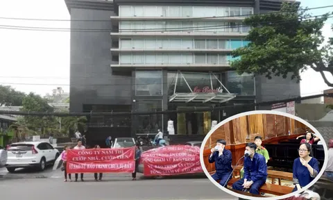 Vụ lừa đảo tại chung cư La Bonita: Lời khai của Vũ Bảo Trinh trước vành móng ngựa