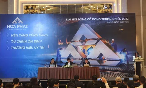 Hòa Phát của ông Trần Đình Long họp cổ đông, lý giải việc không chia cổ tức cho hơn 160.000 cổ đông