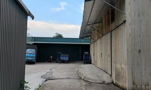 Hà Nội chấm dứt tình trạng sử dụng đất công để cho thuê trái quy định, xử lý nghiêm người đứng đầu để xảy ra vi phạm