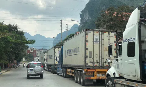 Triển khai các biện pháp cấp bách giảm ùn ứ và thúc đẩy xuất khẩu nông sản tại cửa khẩu biên giới phía Bắc