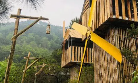 Ồ ạt rao bán homestay ngoại thành Hà Nội giá vài tỷ đến hàng chục tỷ đồng
